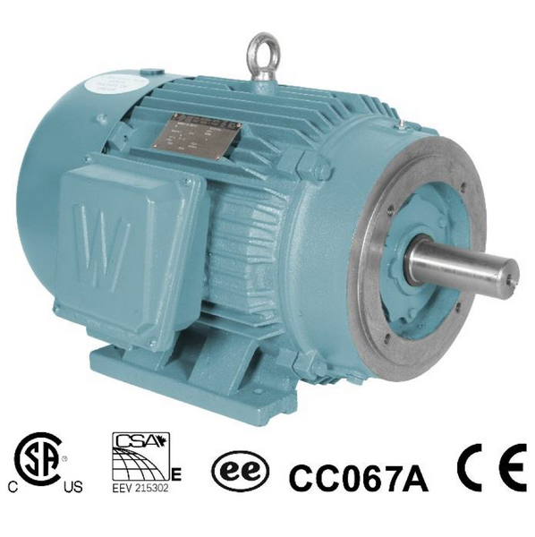 75HP/3600/208-230/460 Motor  Frame 365TCS