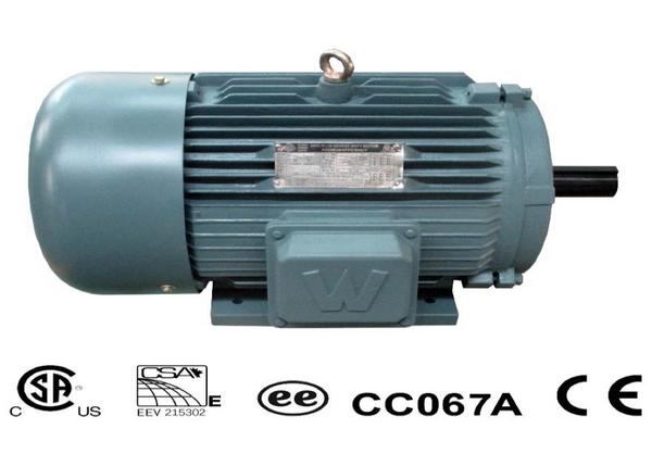 100HP/1200/208-230/460 Motor  Frame 444T Severe Duty Motor